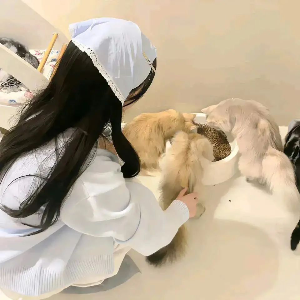 微信图片_20240325134745.jpg