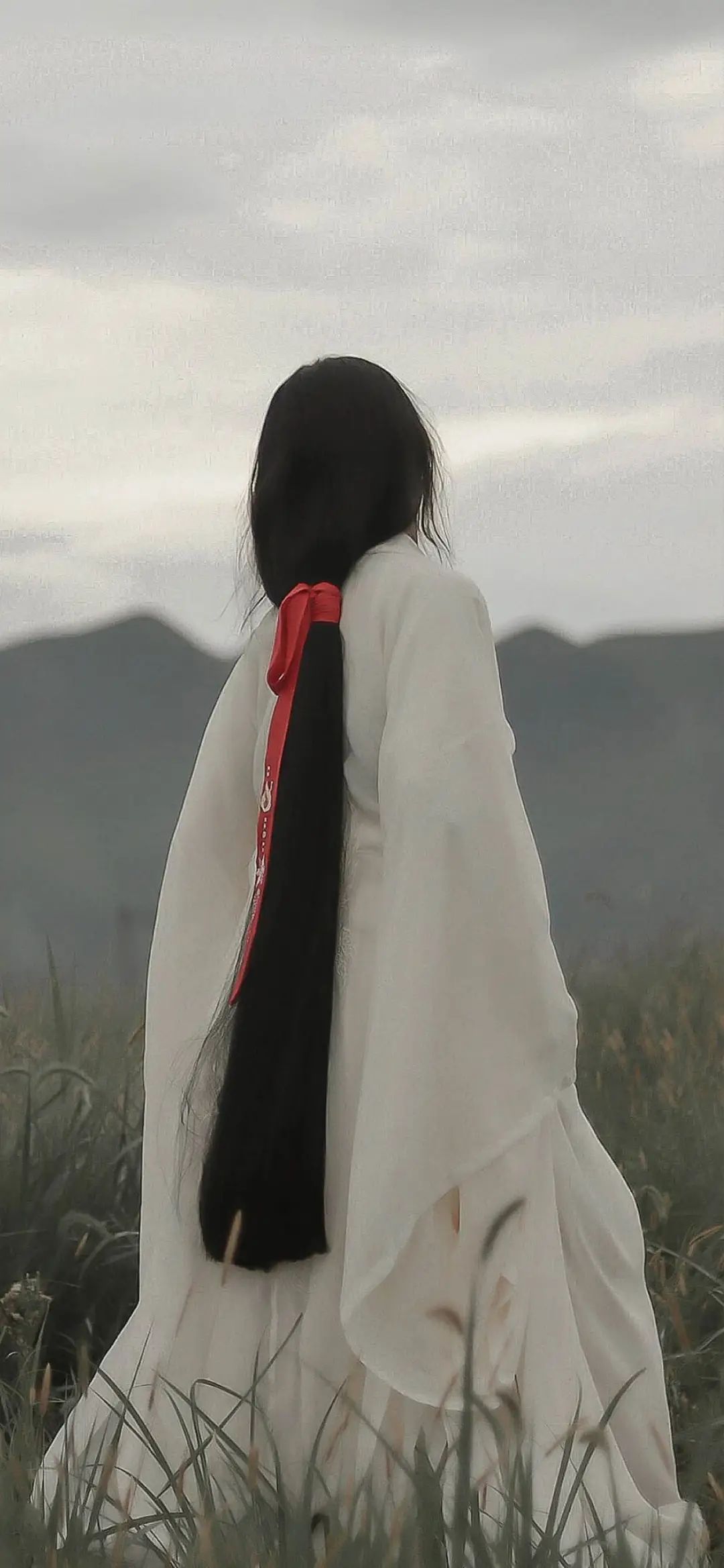微信图片_20240323092325.jpg
