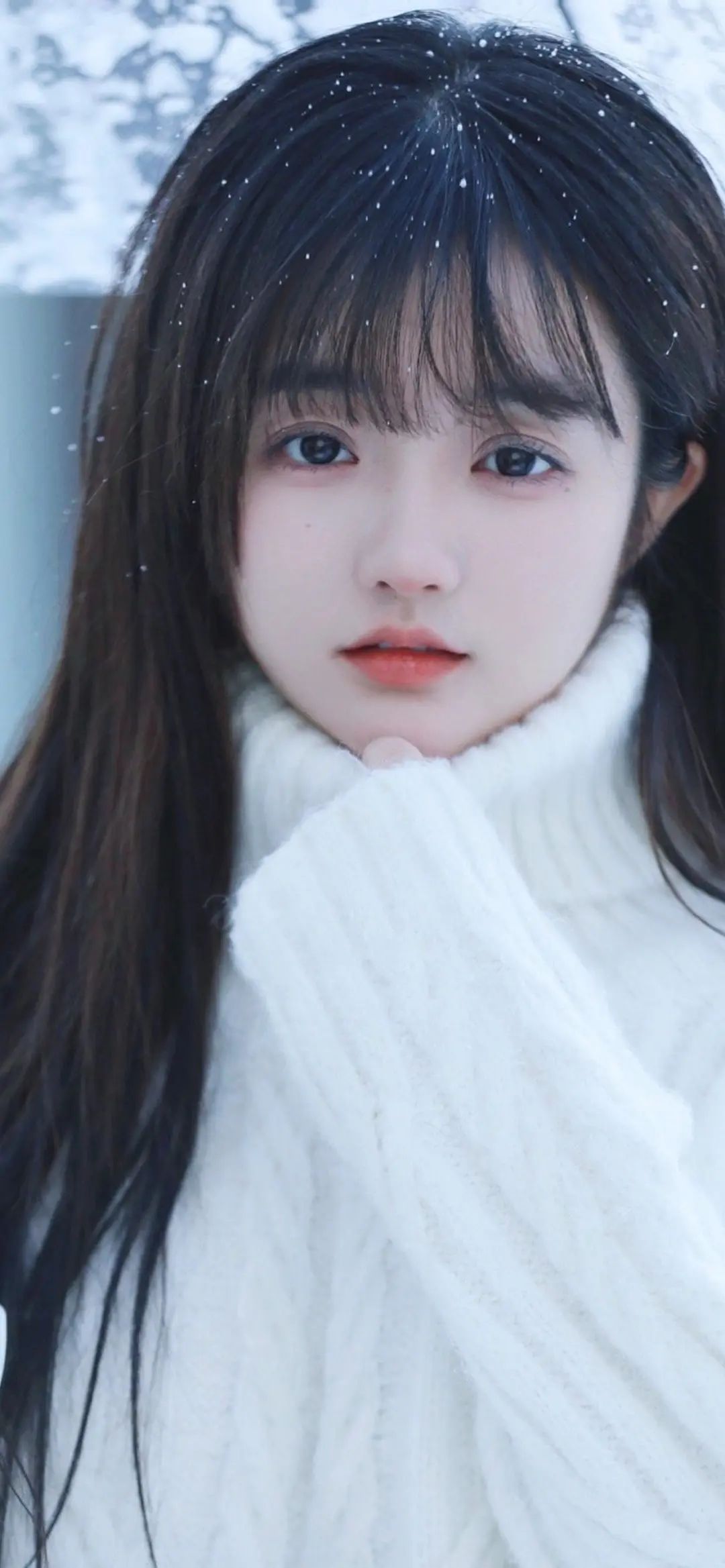 微信图片_20230103120945.jpg